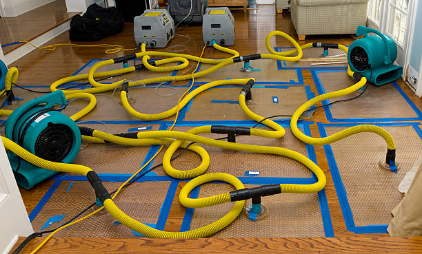 Professional Crawl Space Water Removal technician working in Meriden, NH